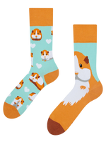 regular-socks-guinea-pig-02-69/698a85de33193804ab4fdba38452adcb24f639fe