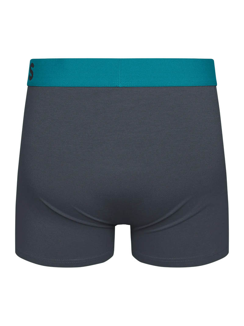 anthracite-grey-mens-trunks-1-78/78bd35e5e0e8c742068ce801efe668554a852d8b