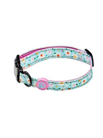 Hundehalsband Herzen und Gänseblümchen