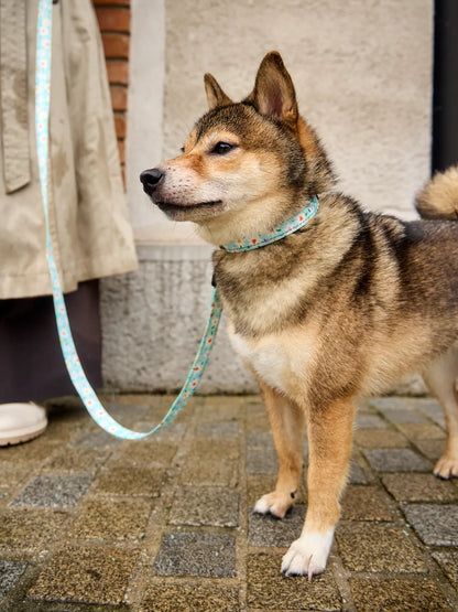 dog-leash-hearts-daisies-7d/7dd1fc943ddf3d09518be41954d5ee9e9af54362