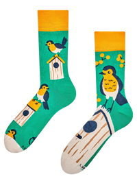 bamboo-regular-socks-birdhouse-82/82dc433374e00b06cef8435614652b7bcdb27088