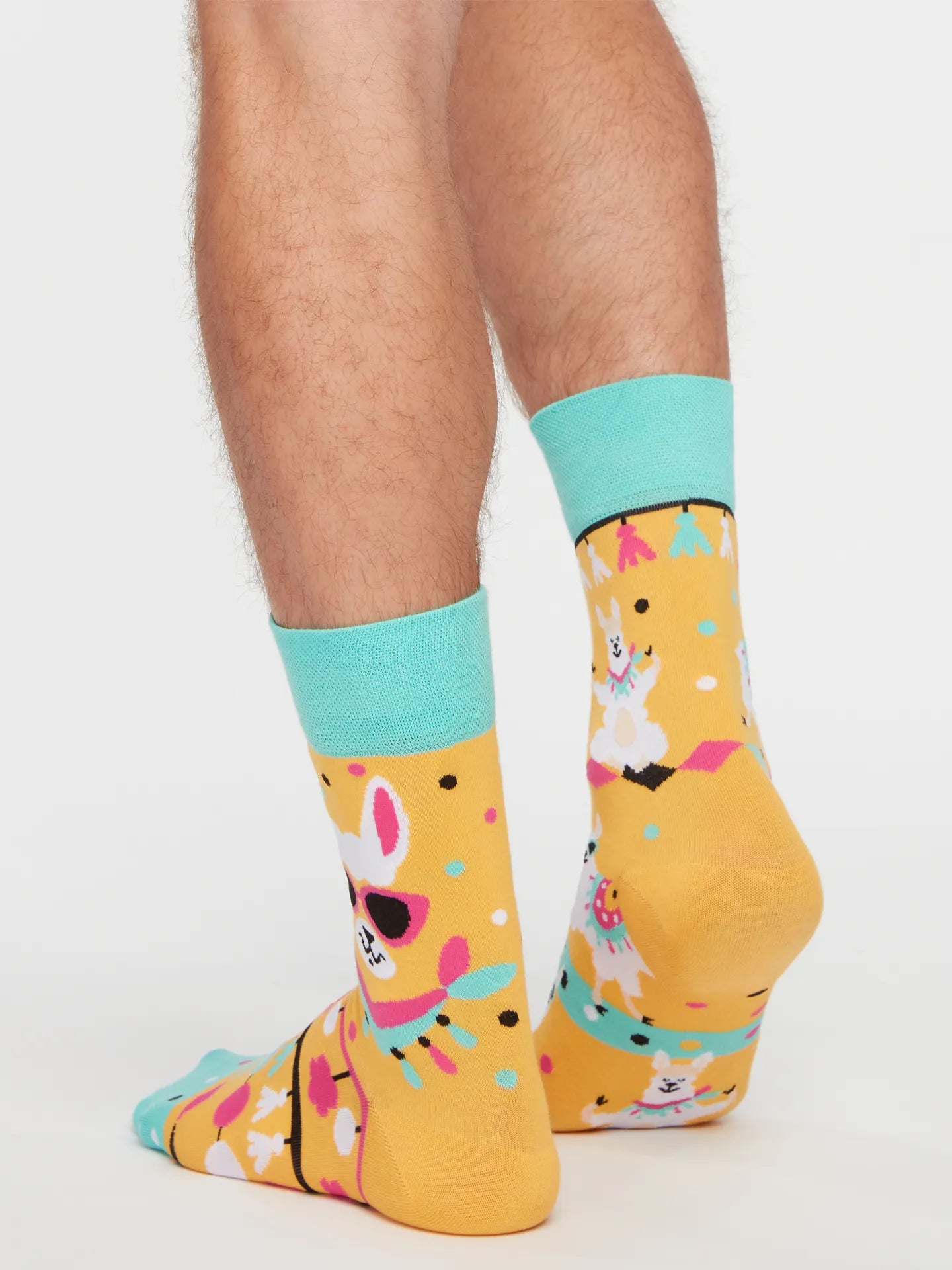 regular-socks-cool-llama-02-84/840af948b703d1bdb1e06d434d10a99daadc5814