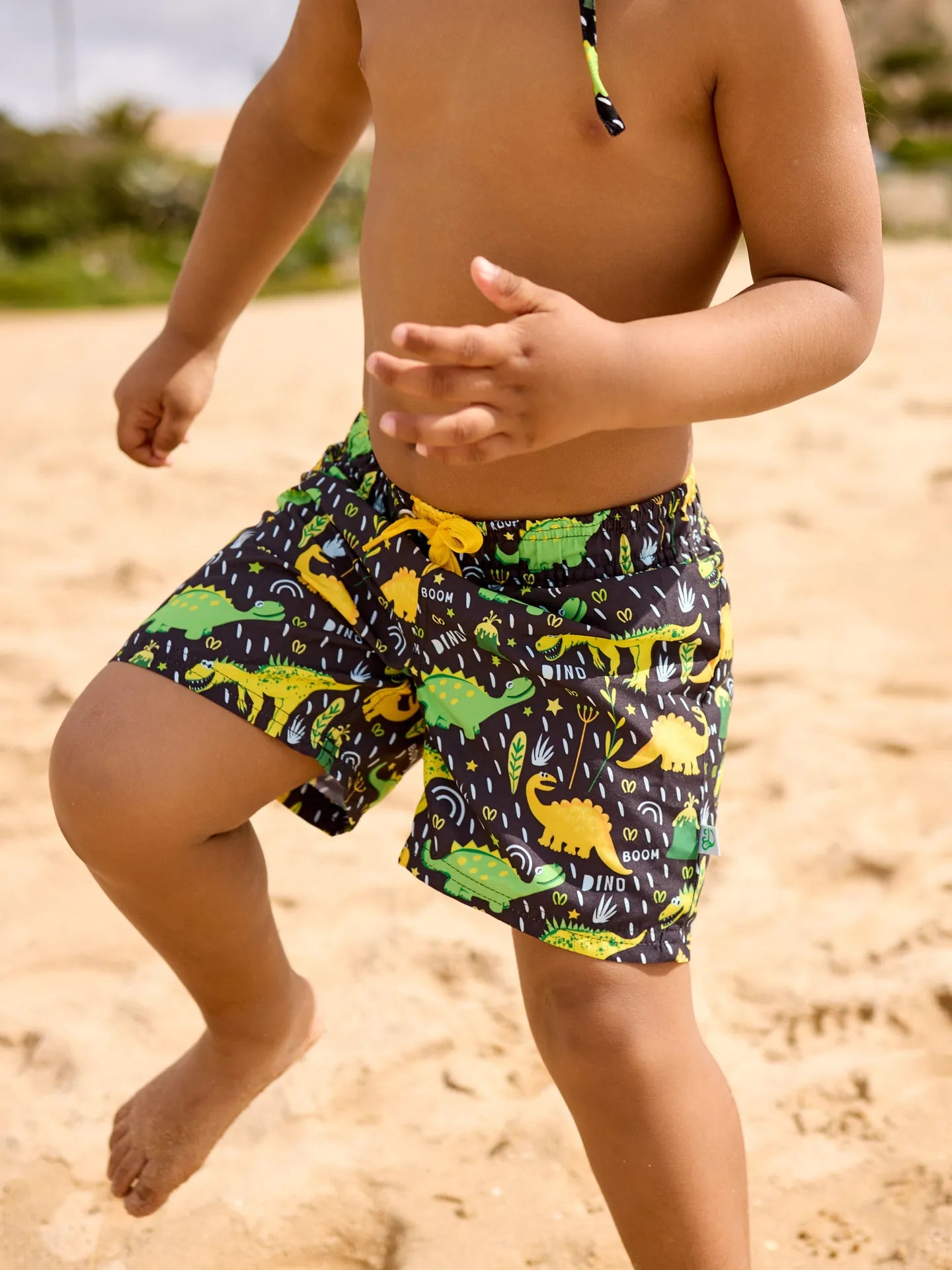 boys-swim-shorts-dino-8a/8a9aab1e0c7dd4901ad36dd7c873091cc2b9db1a