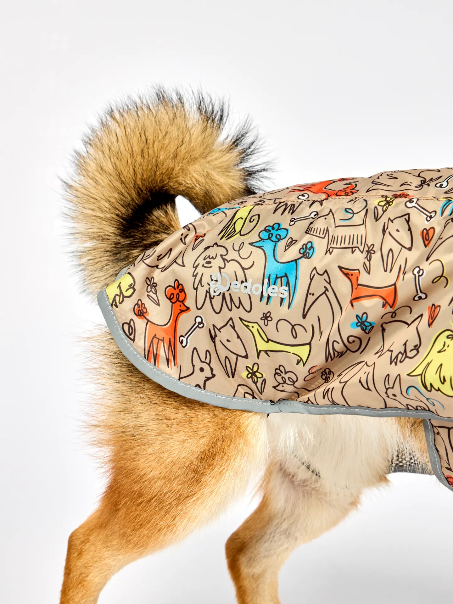 dog-raincoat-dog-pack-8b/8bdbfef3345238a7b7516e1e32359cb2098c5d40