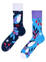 Warme Socken Wintervogel im Winter