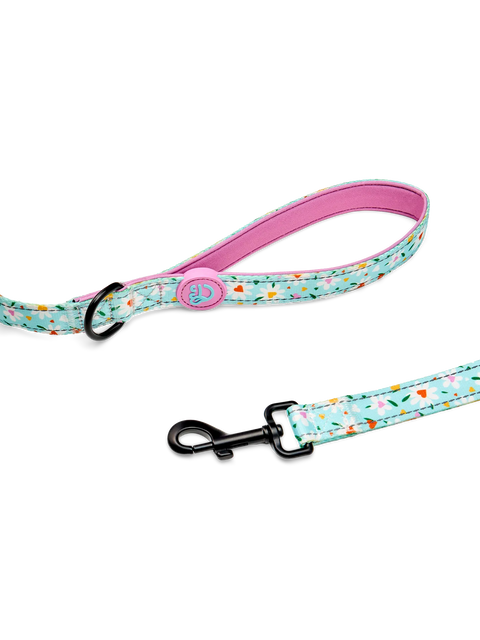 dog-leash-hearts-daisies-9d/9d057207075d9426281a7ff72cea9efe13a1c724