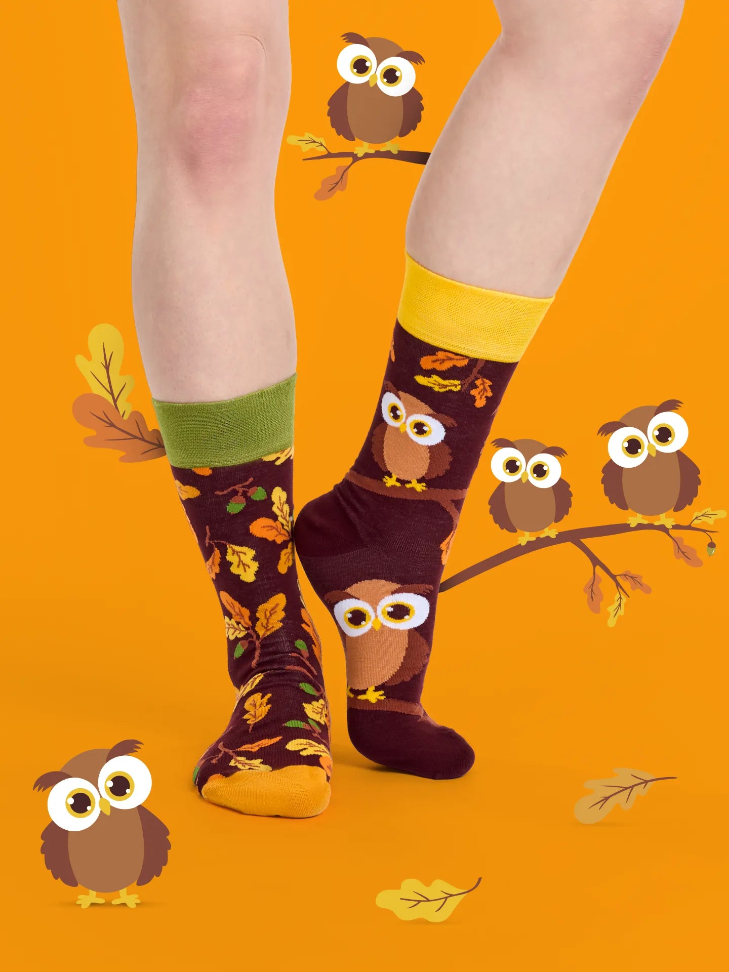 regular-socks-curious-owl-02-9d/9d7af309ef910ce0bb0a1d216af26fdafb27fcb9