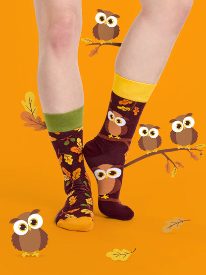 regular-socks-curious-owl-02-9d/9d7af309ef910ce0bb0a1d216af26fdafb27fcb9