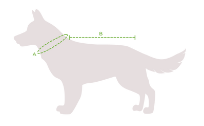 Regenmantel für Hunde