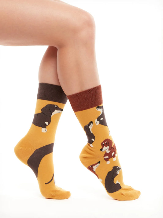 regular-socks-dachshunds-02-e9/e994965a856e0d07085d78c471b18cf688e04fce
