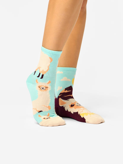 crew-socks-alpaca-a7/a7d31c800bffe5735573795efb8278ec9aaae432