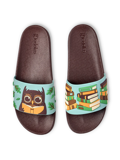 slides-owl-books-a8/a81ebe85b7f1061eb25837923a565751d600bd79