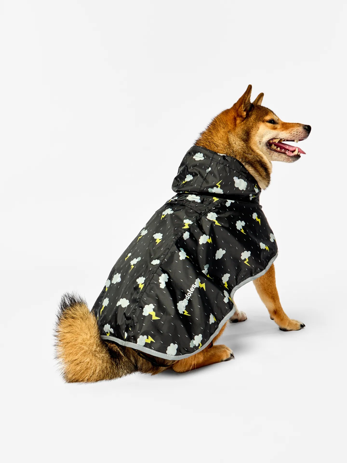 dog-raincoat-storm-ac/ac2edf3c40d40f943266647fa4a9a5bca96c1644