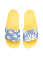 slides-sunny-daisy-bc/bcaf2f5e6a8b2d07e6b63eab9236c642730bc4b9