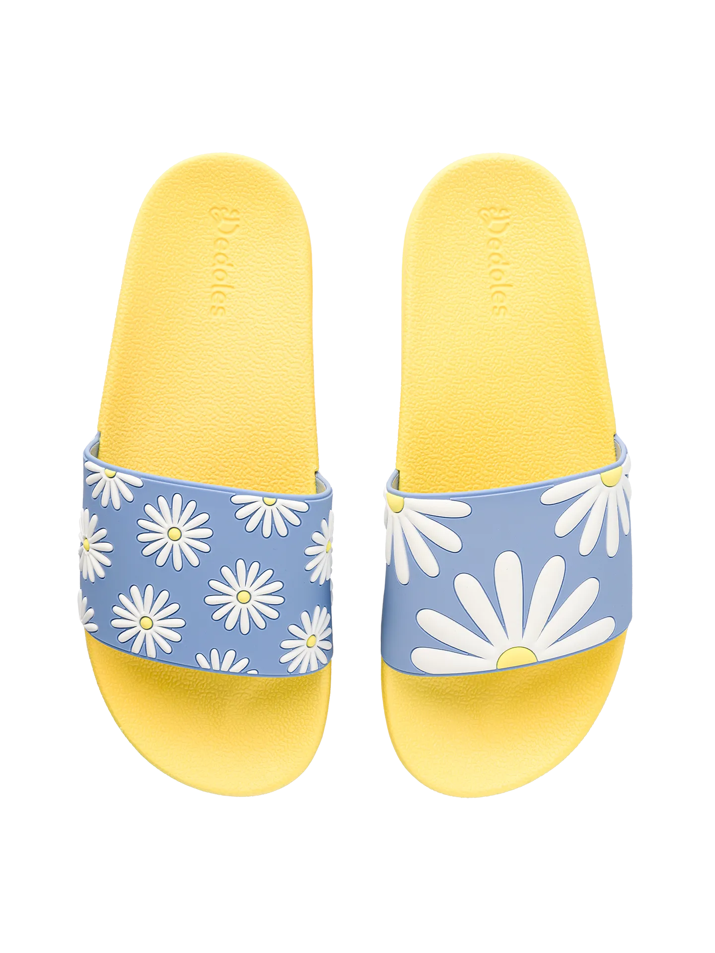 slides-sunny-daisy-bc/bcaf2f5e6a8b2d07e6b63eab9236c642730bc4b9
