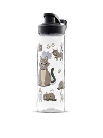 Lustige Wasserflasche Graue Katze 700 ml