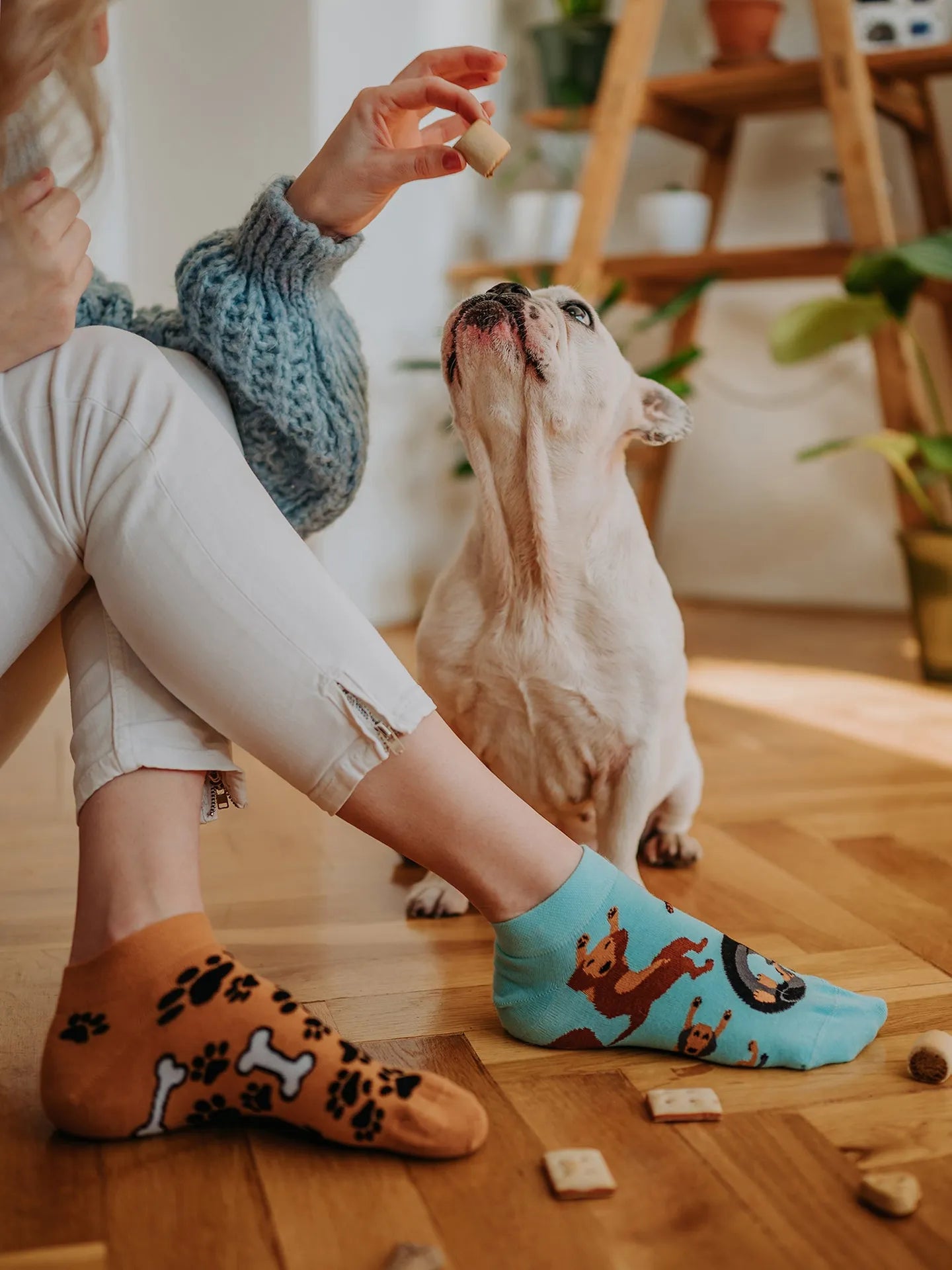 ankle-socks-dachshund-02-b1/b19b30c4145117c93d42103a8614d91e06adc46e