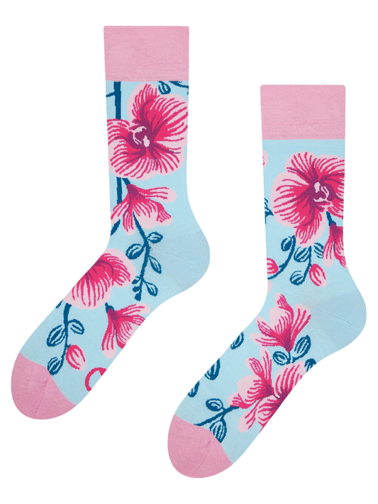 regular-socks-orchid-69/69413dbb86d7b57d37eea0bc7fc8e6266dbdf9bc