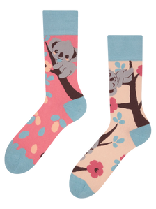 Lustige Socken Schläfriger Koala