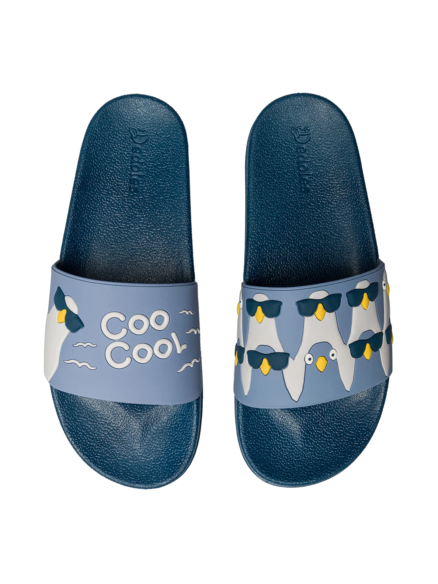 Lustige Pantoletten Coole Tauben