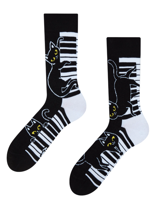 regular-socks-piano-cat-02-c6/c6543071f15a5716ca33dce52ebf854b88e169b6