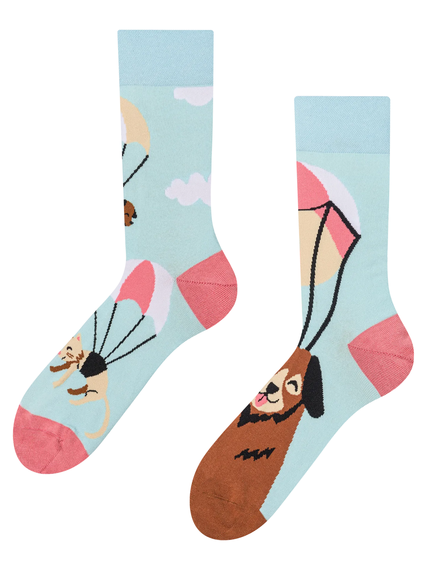 regular-socks-flying-cats-dogs-18/180528059bd383682eef7cd47695451c37b64dbb