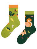 Lustige Kindersocken Eichhörnchen