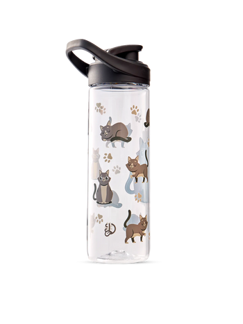 Lustige Wasserflasche Graue Katze 700 ml