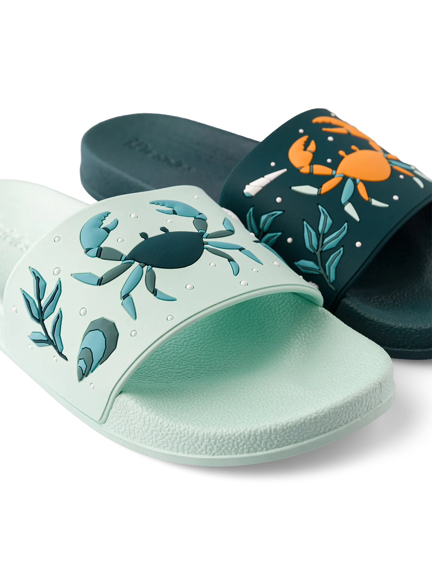 slides-sea-crab-d7/d70a0620183a791c4ed20a87a21d05ab2faa1321