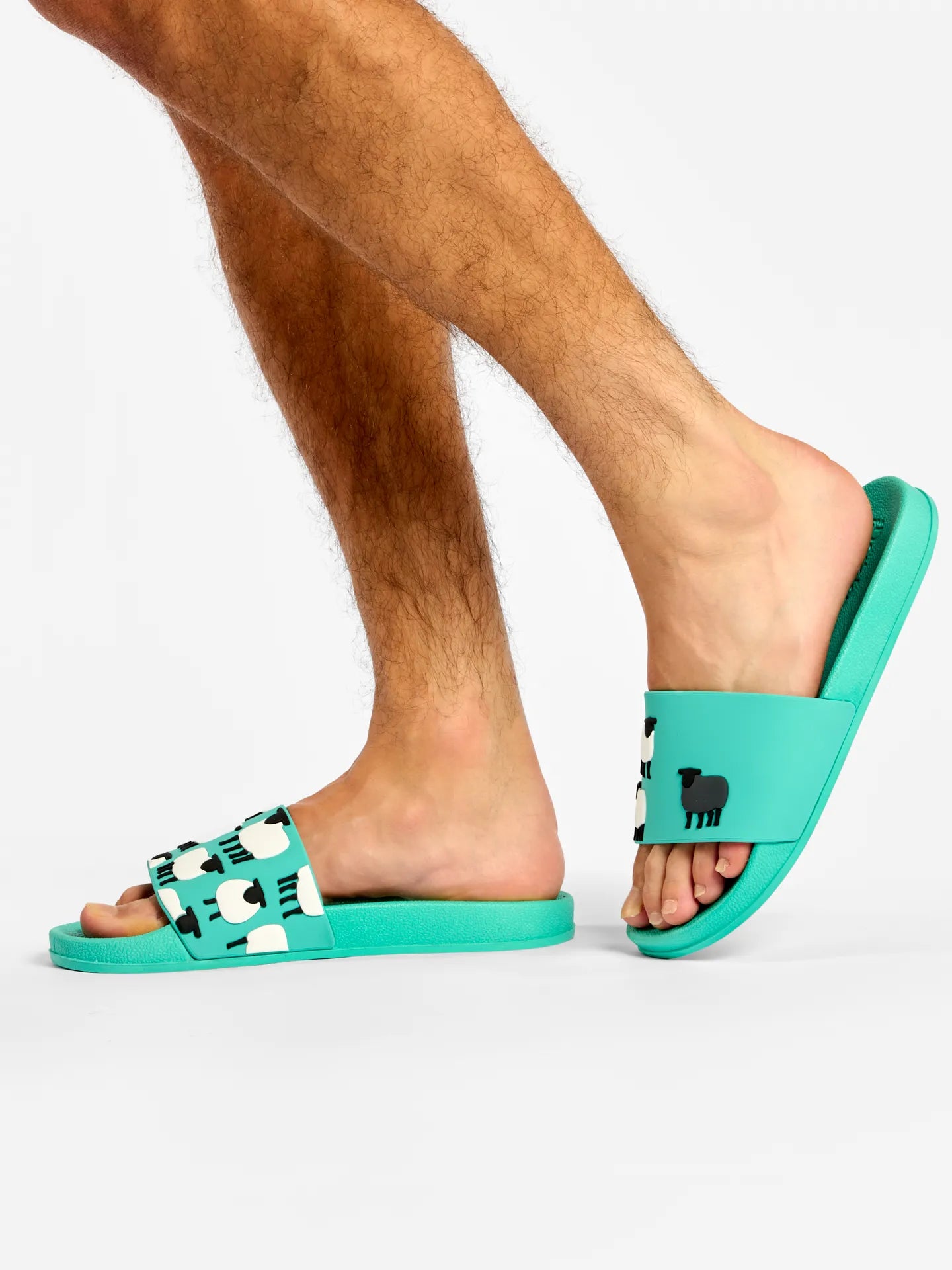 slides-black-sheep-d8/d87b375509d5b1884a0ec7b4e715fd15cc9ef184