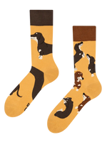 Lustige Socken Dackel