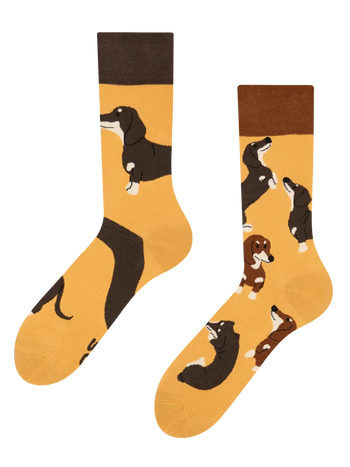 Lustige Socken Dackel