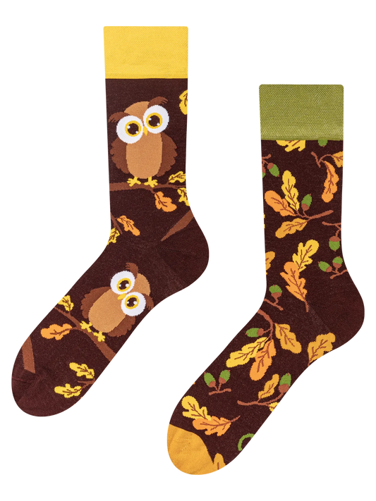 regular-socks-curious-owl-02-e1/e19b4ebf0026b8e0561871f7a516343d422c01ce