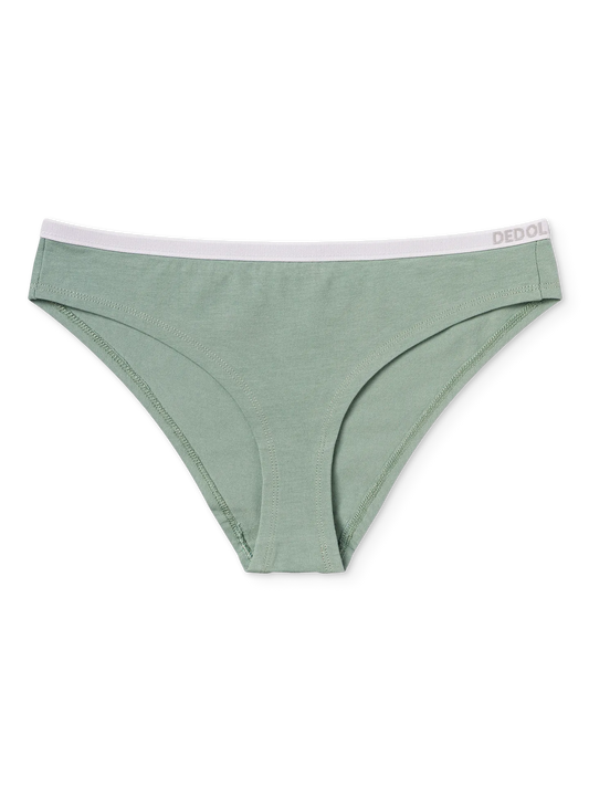 sage-green-womens-briefs-2-ea/eaf4c6488a8b24b9ed1480ceae50ed518735dede