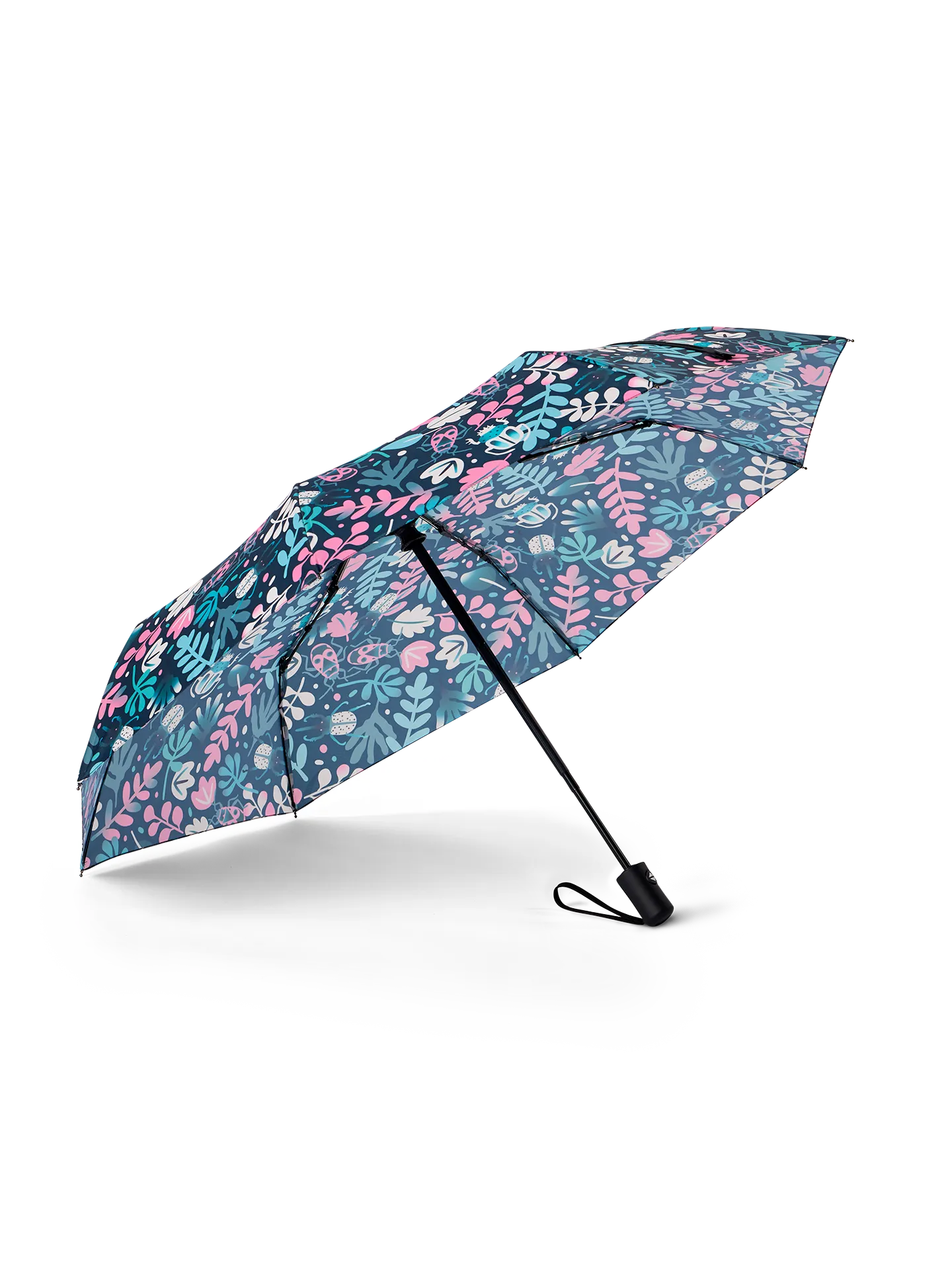 umbrella-leaves-bugs-f1/f15ec758a9e7a5a3837243360365c163c096abf5