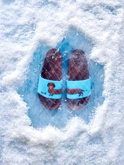 slides-long-dachshund-b0/b0b58442c50abe2bb3212162b9585fa6565664dd