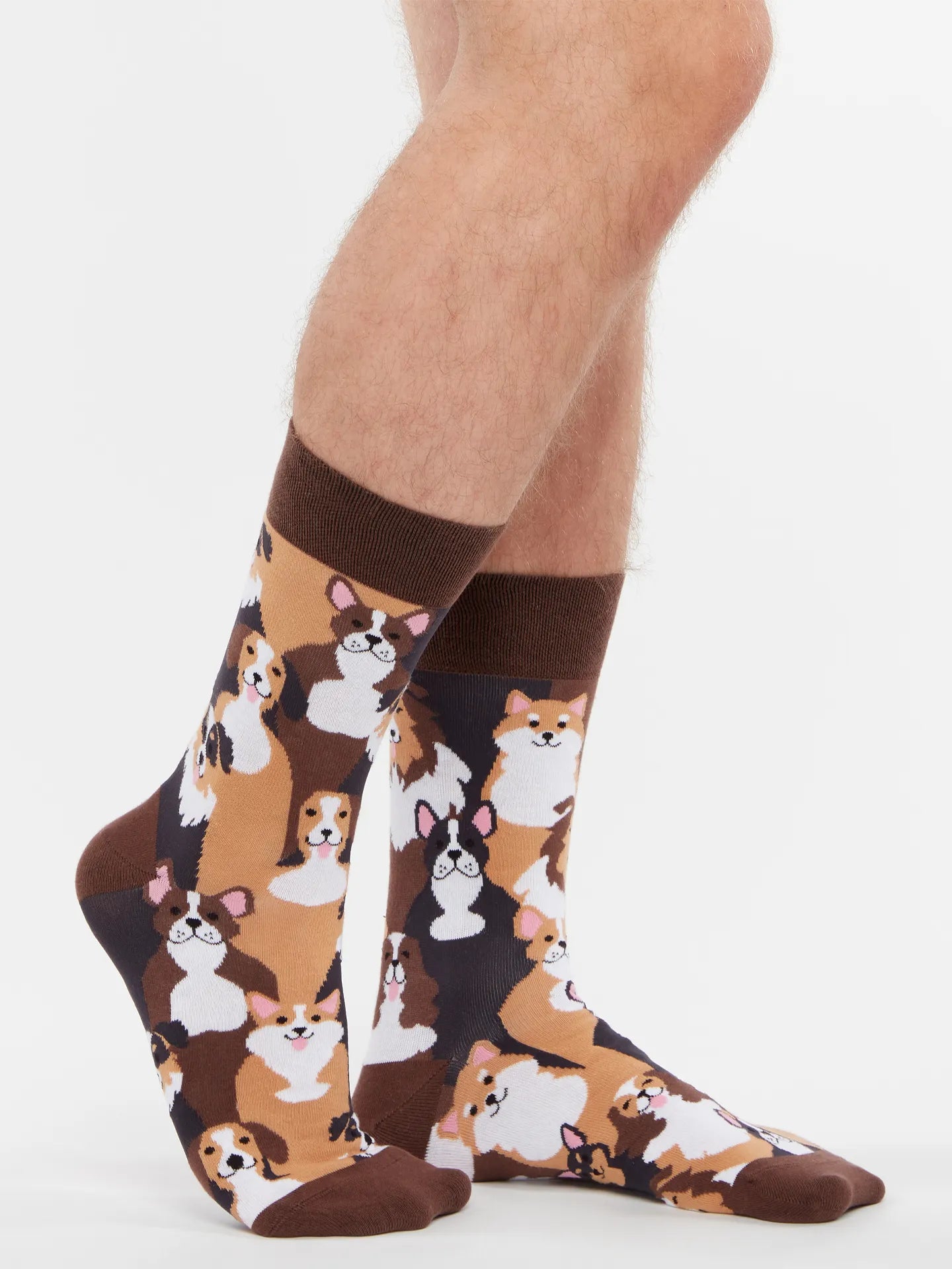 regular-socks-doggies-02-f3/f3c19fc499d3ba9ebac7275b264c302753ce5f05