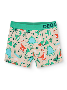Lustige Boxershorts für Jungen Dino-Skatepark
