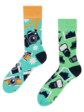 Lustige Socken Fotograf