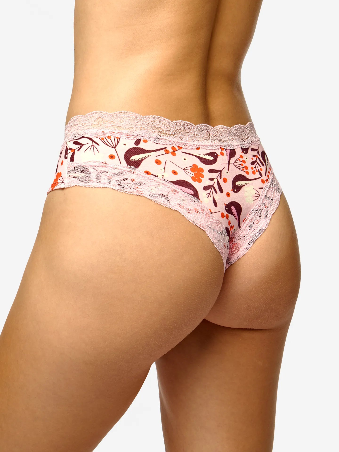 women-s-lace-hipster-briefs-birds-berries-fb/fb0ba6d810eec556b9b0e4632cb082ce40f31124