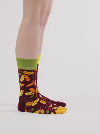 Lustige Socken Neugierige Eule